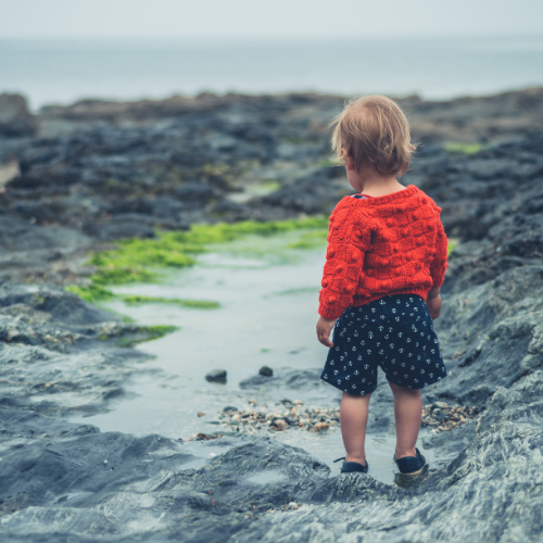 Exploring Rock Pools